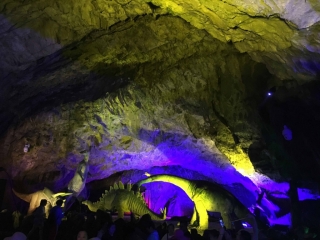 t_2018-07-01 09.45.00.jpg